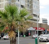 Apartment To Let in Strand Central IOL Property