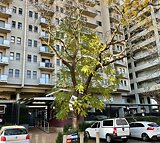 Apartment To Let in Hatfield IOL Property