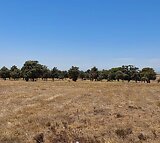 923m Vacant Land For Sale in Darling