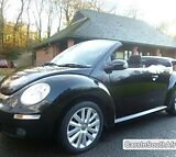 Volkswagen Beetle Manual 2009