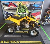 2009 Can-Am DS 250 For Sale
