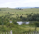 115Ha Farm For Sale in Mooi River