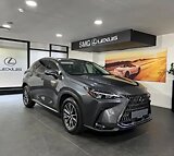 2023 LEXUS NX 250 EX For Sale, Umhlanga