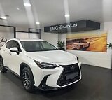 2023 LEXUS NX 250 EX For Sale, Umhlanga